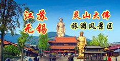 www.91jk.com江苏无锡灵山大佛旅游风景区